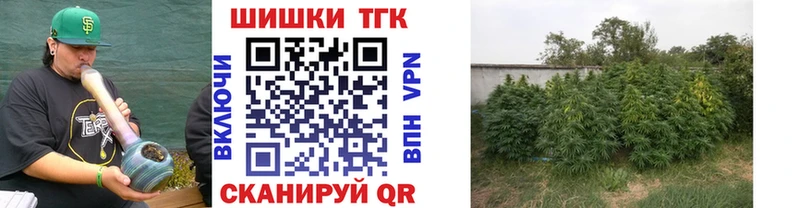 Канабис семена Балаково